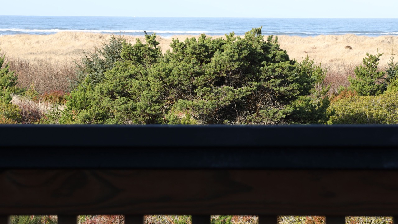 Photo of Others in Copalis Beach