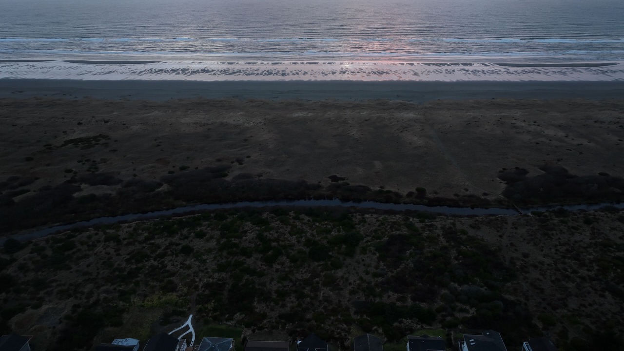 Photo of Others in Copalis Beach