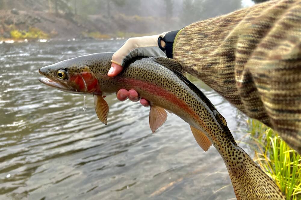 Photo of Others in Spanish Peaks