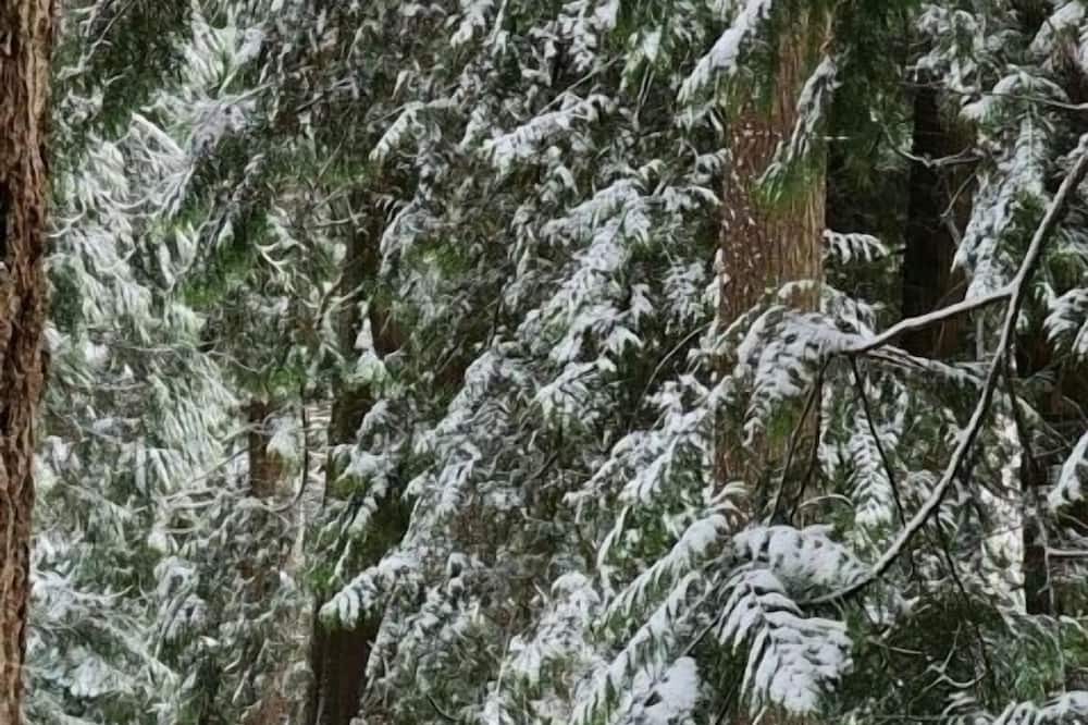 Photo of Outdoor in North Creek