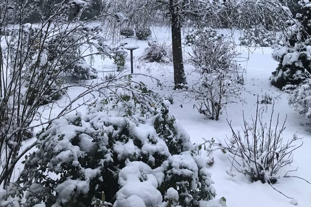 Photo of Outdoor in North Creek