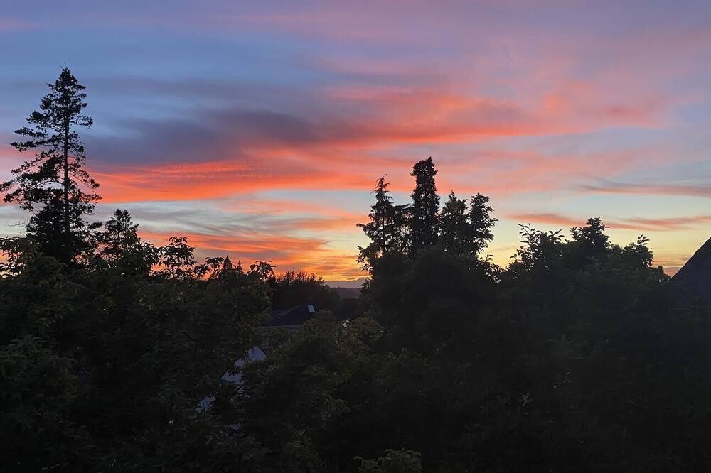 Photo of Outdoor in New Tacoma