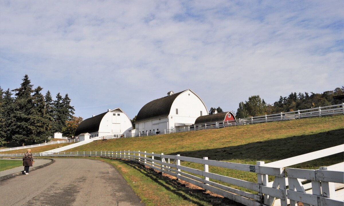 Photo of Outdoor in Wilburton