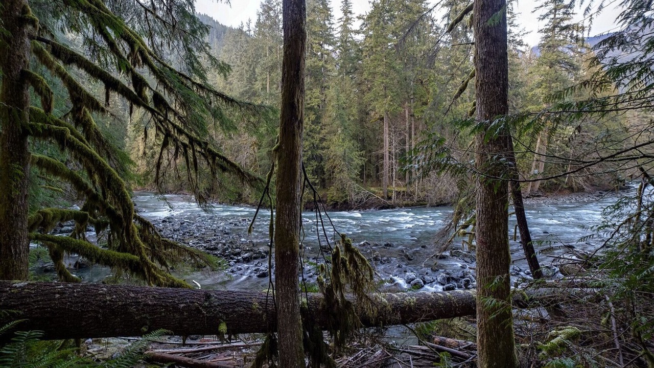 Photo of Outdoor in Deming