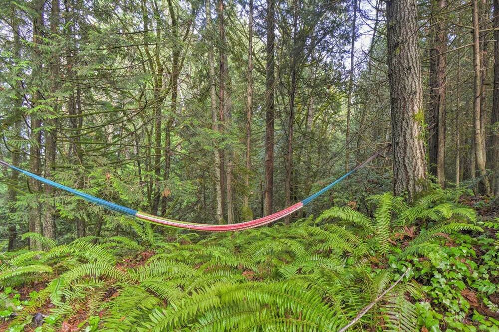 Photo of Outdoor in Silverdale