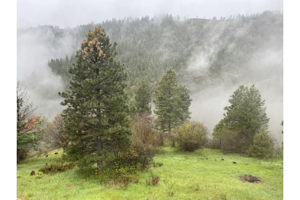 Photo of Outdoor in Boise