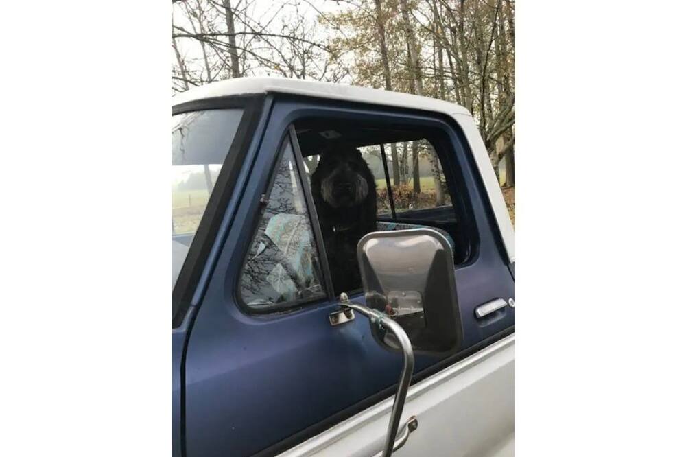 Photo of Others in Ridgefield