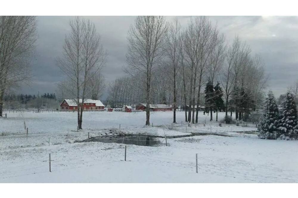 Photo of Others in Ridgefield