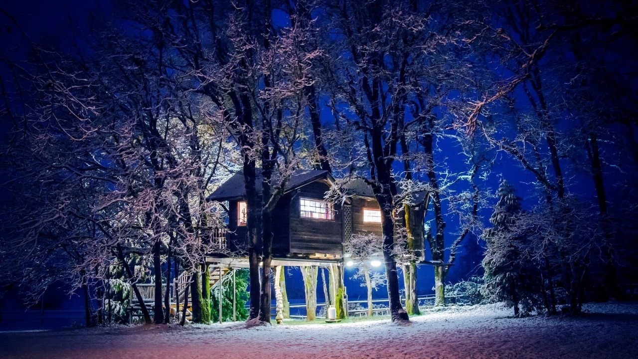 Photo of Outdoor in Cave Junction