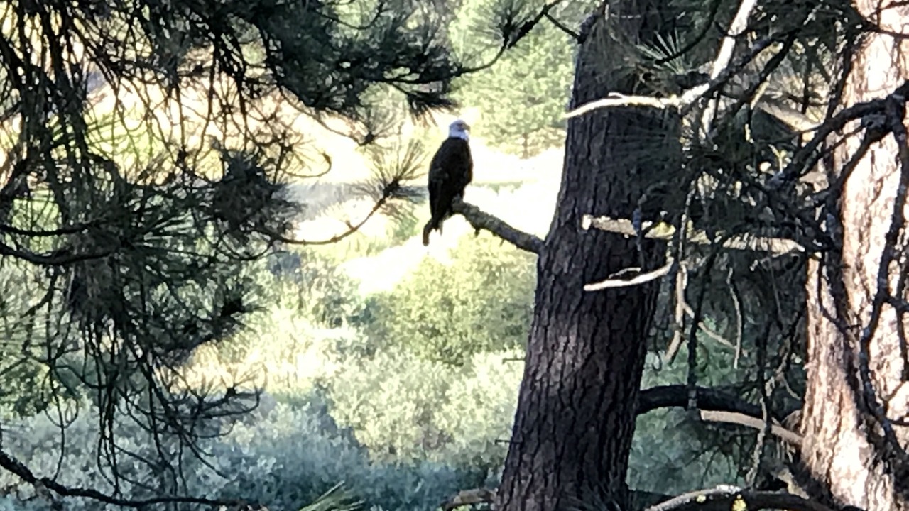 Photo of Outdoor in Colbert