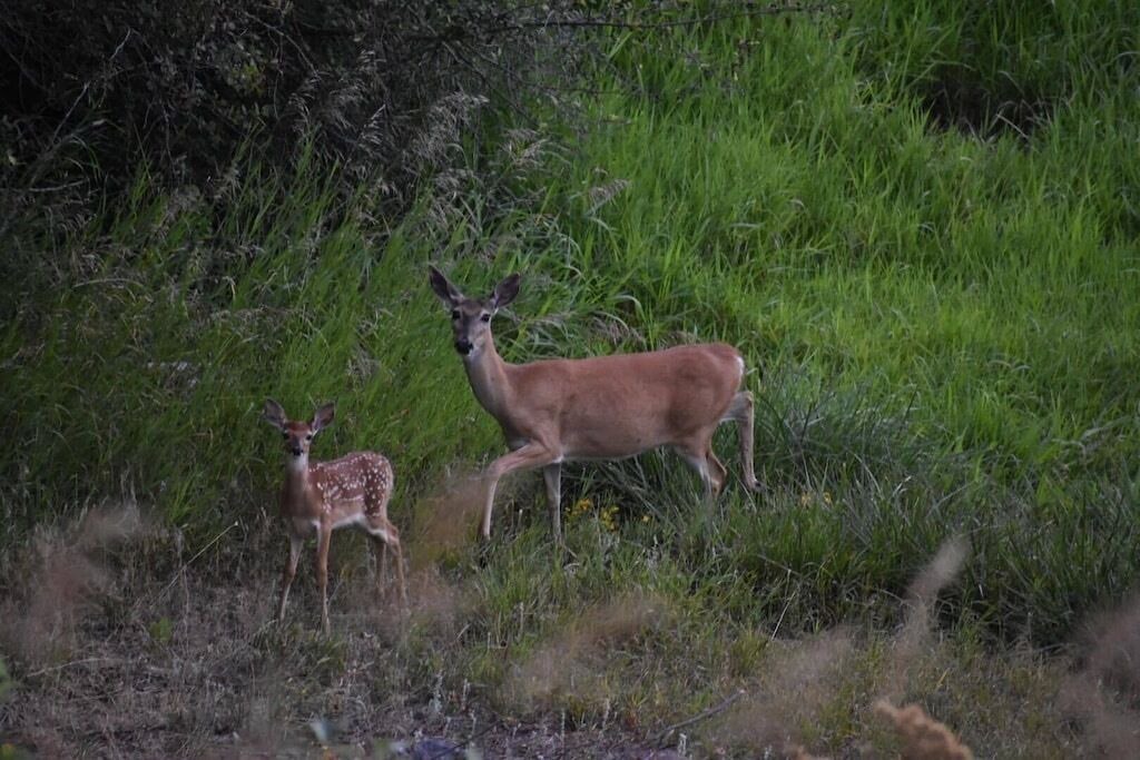 Photo of Outdoor in Colbert