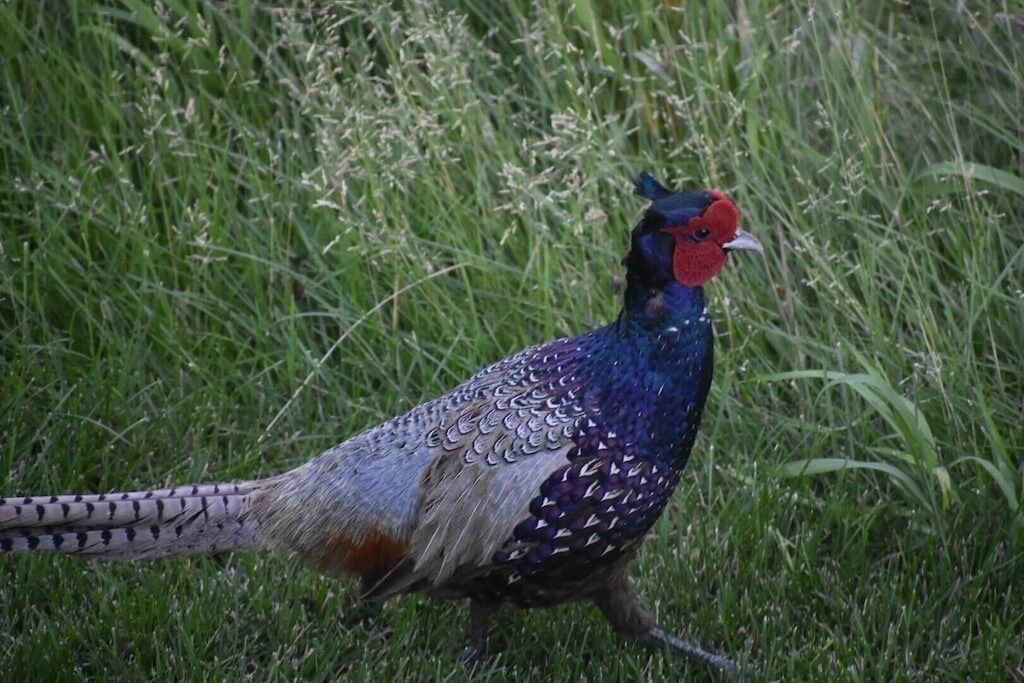 Photo of Outdoor in Colbert