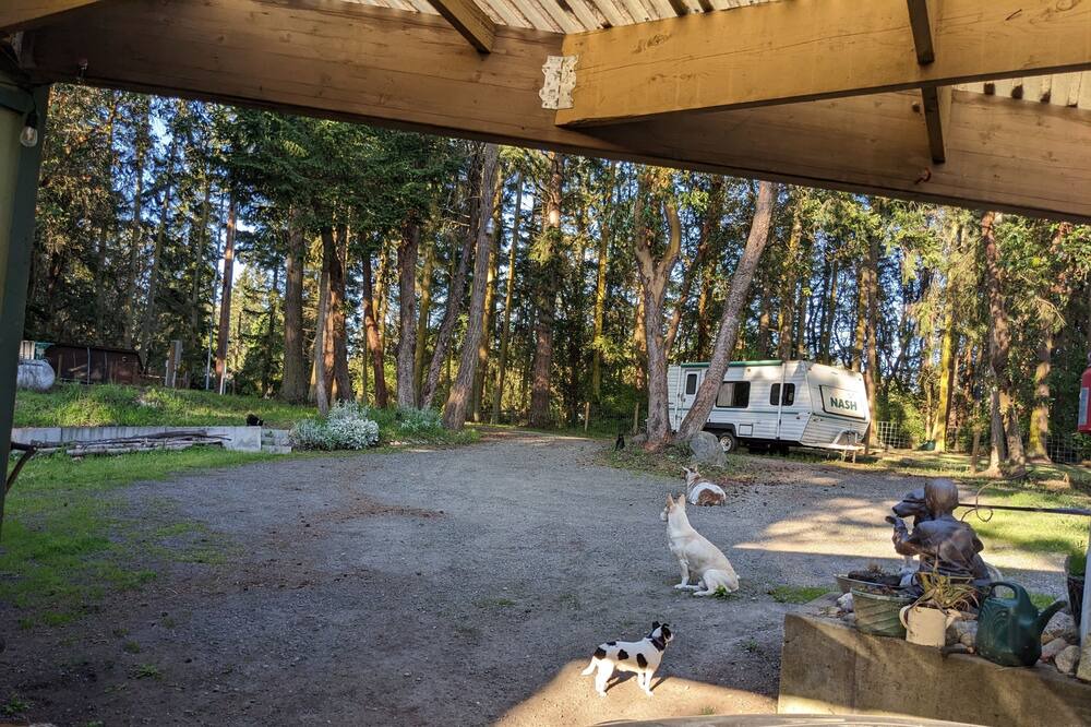 Photo of Outdoor in Marrowstone
