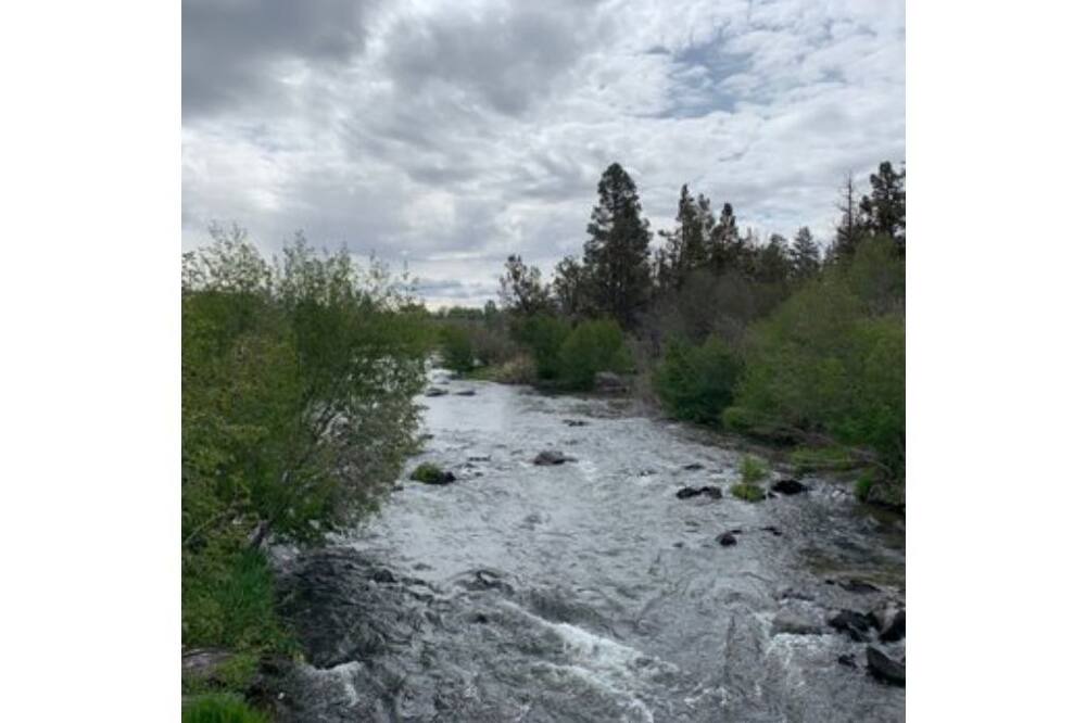 Photo of Others in Bend