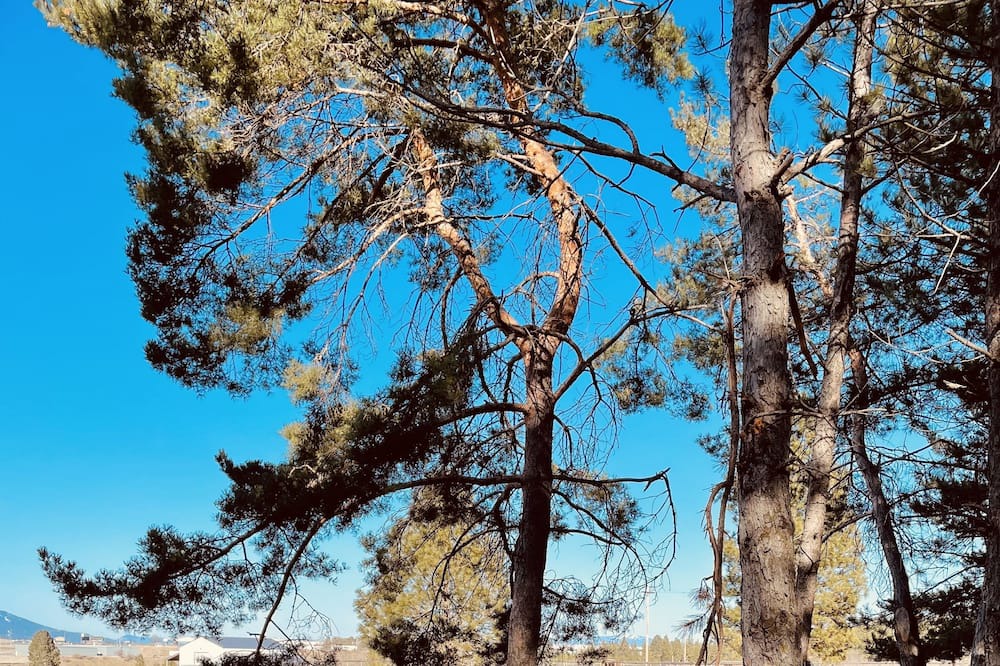 Photo of Outdoor in Post Falls
