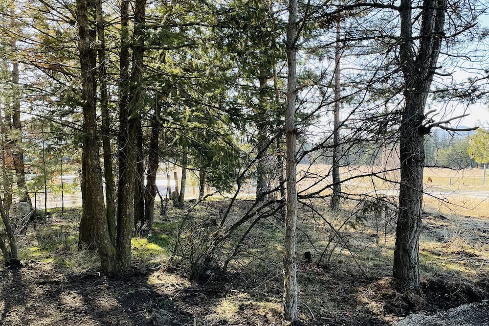 Photo of Outdoor in Post Falls