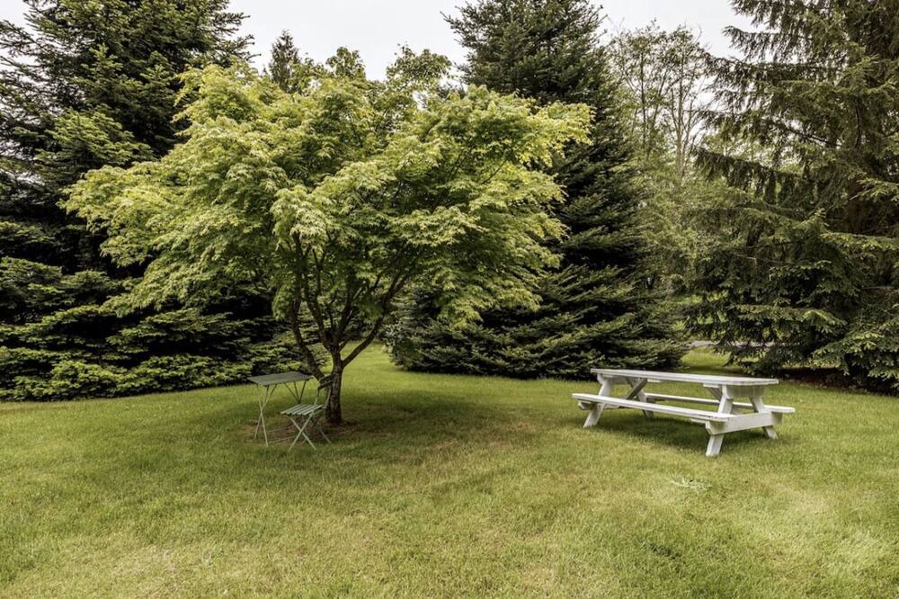 Photo of Outdoor in Sequim