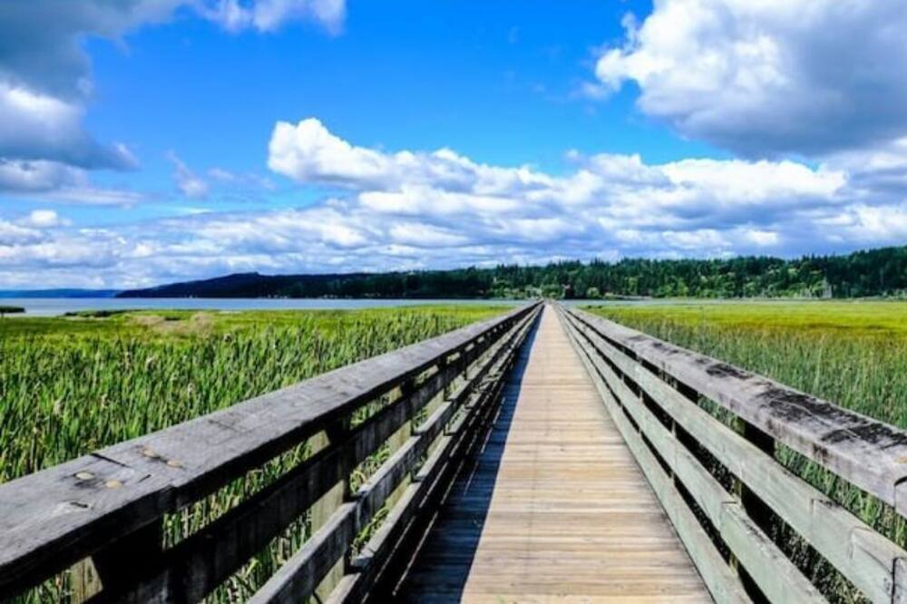 Photo of Outdoor in Hoodsport