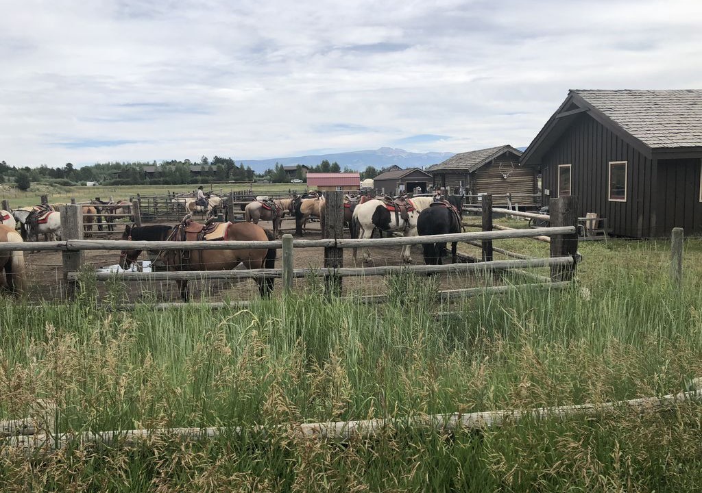 Photo of Others in Teton Village