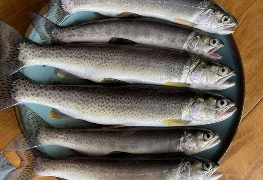 Photo of Others in Port Angeles