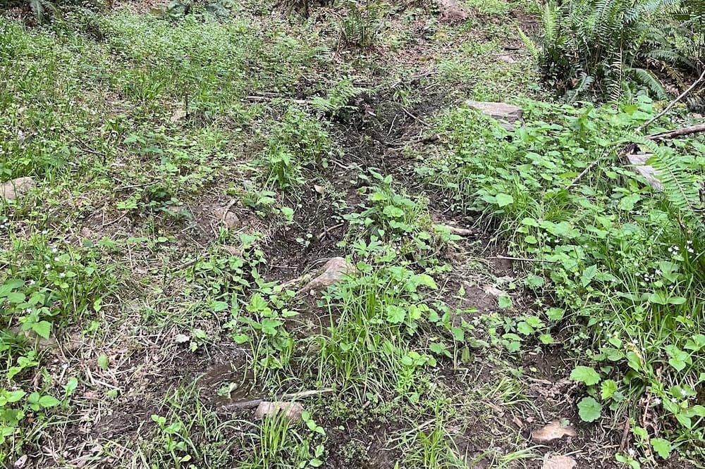 Photo of Outdoor in Castle Rock