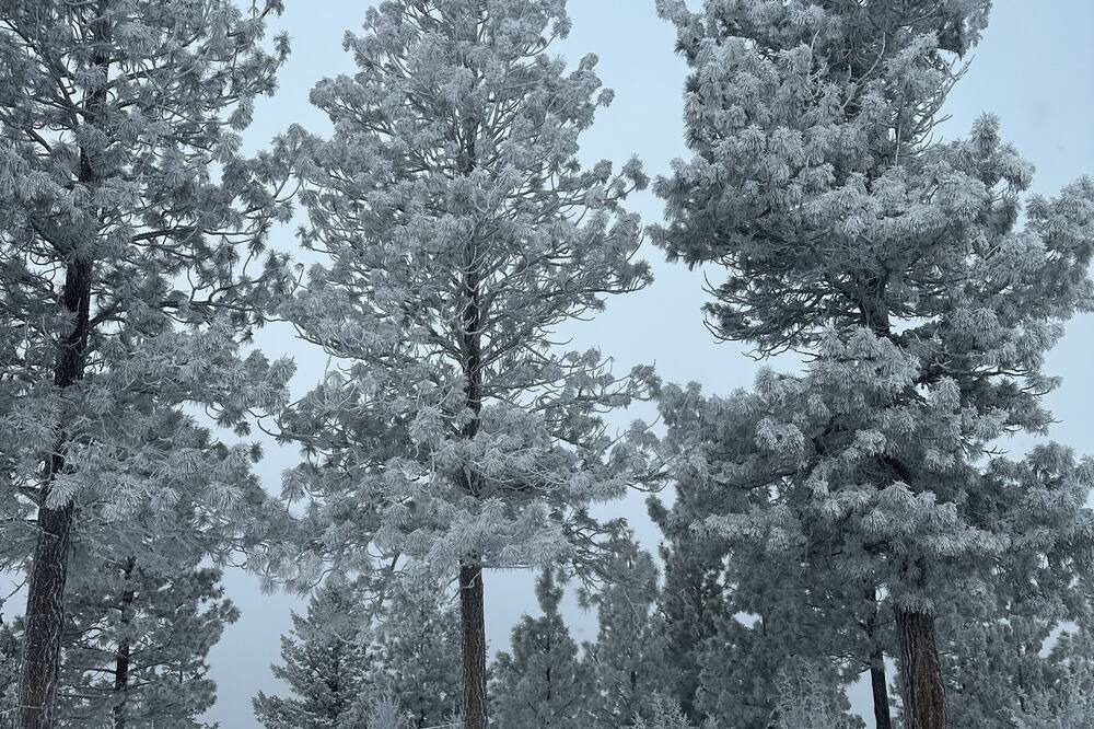 Photo of Others in Klamath Falls