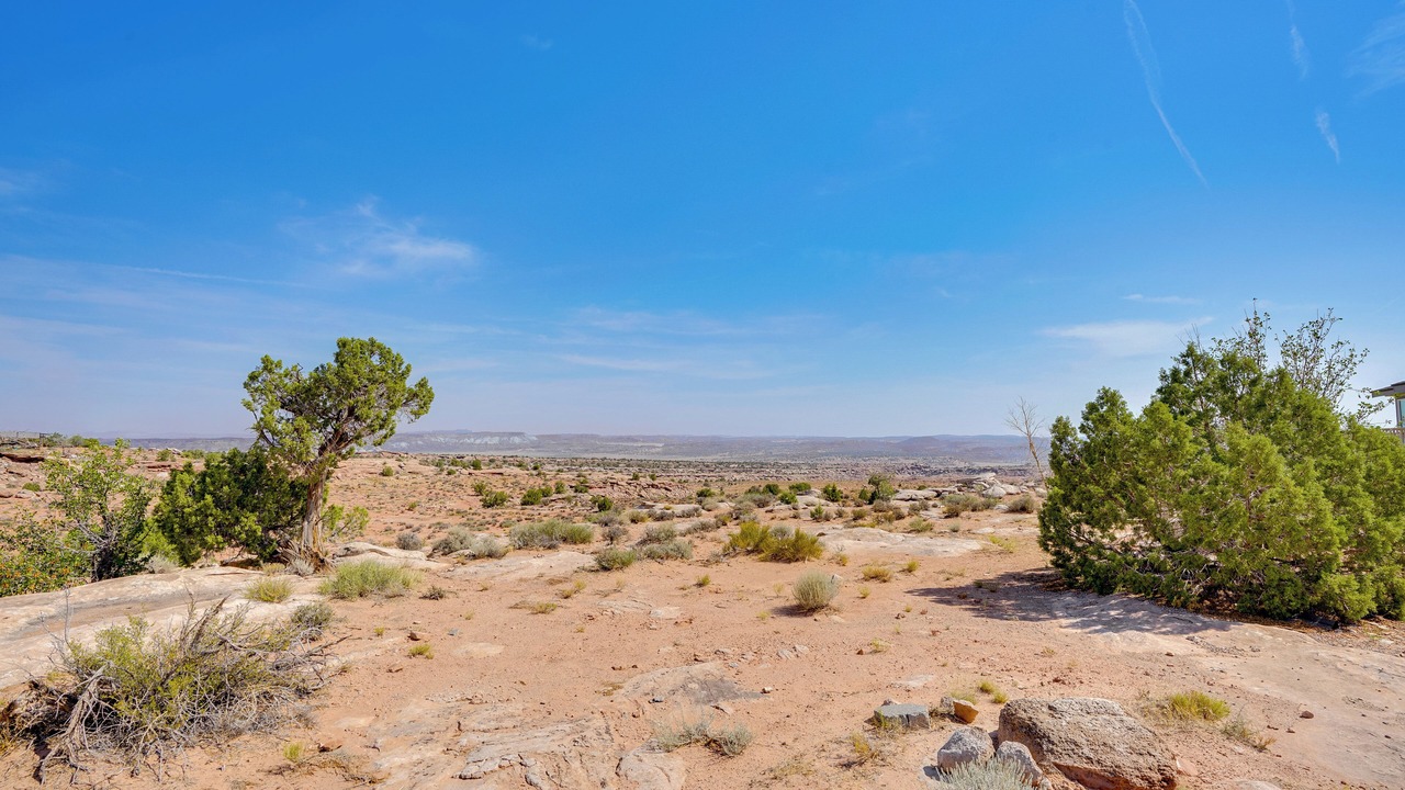 Photo of Others in Moab