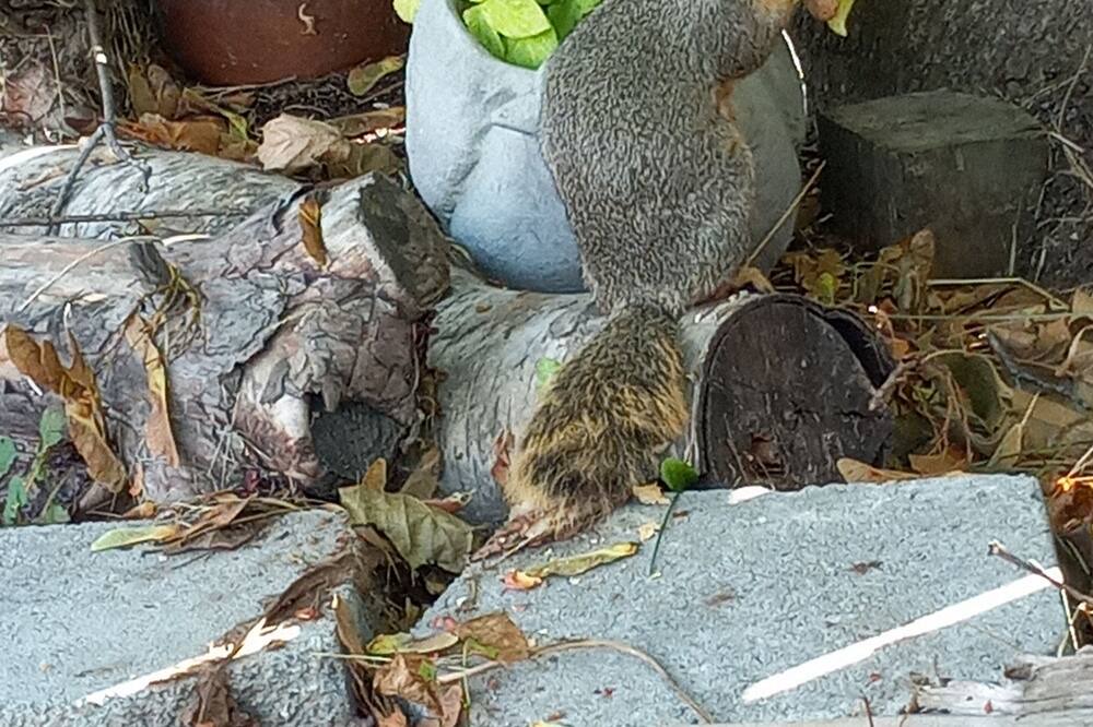 Photo of Outdoor in Sandpoint