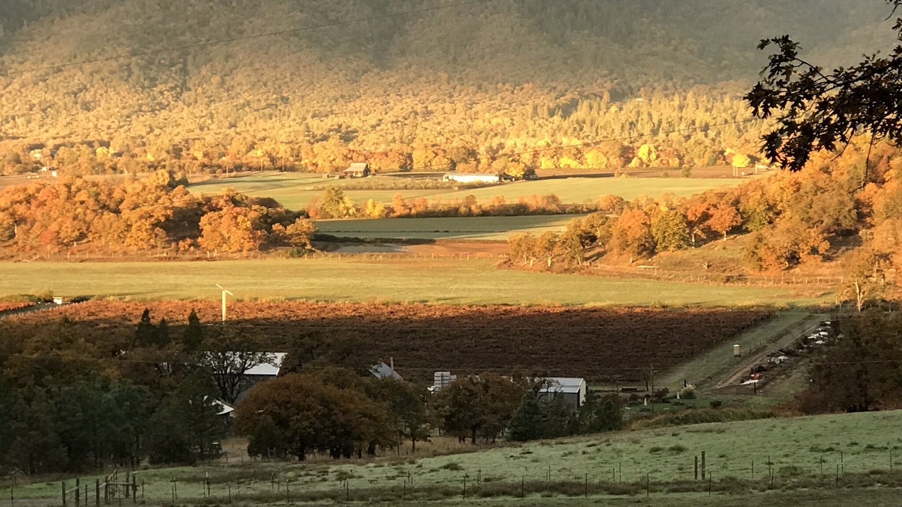 Photo of Others in Gold Hill
