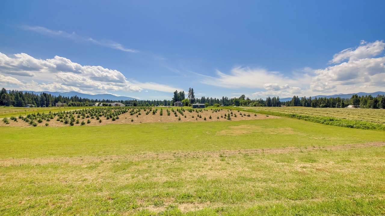 Photo of Others in Bonners Ferry