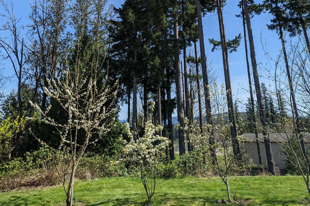 Photo of Others in Sammamish