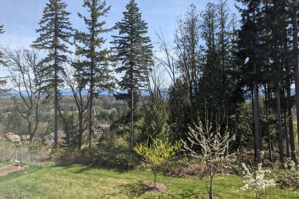 Photo of Outdoor in Sammamish