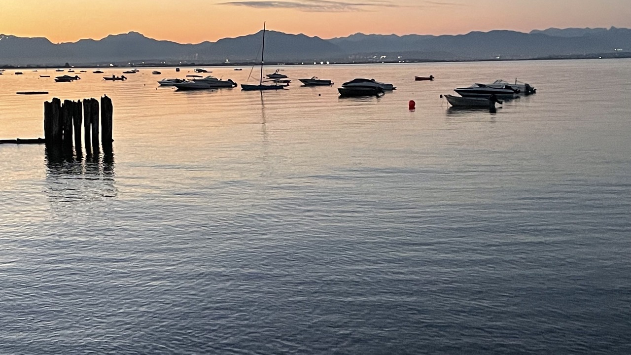 Photo of Others in Point Roberts