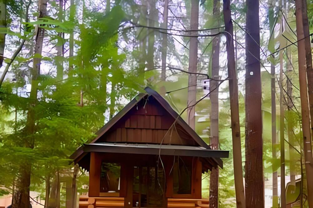 Photo of Outdoor in Enumclaw