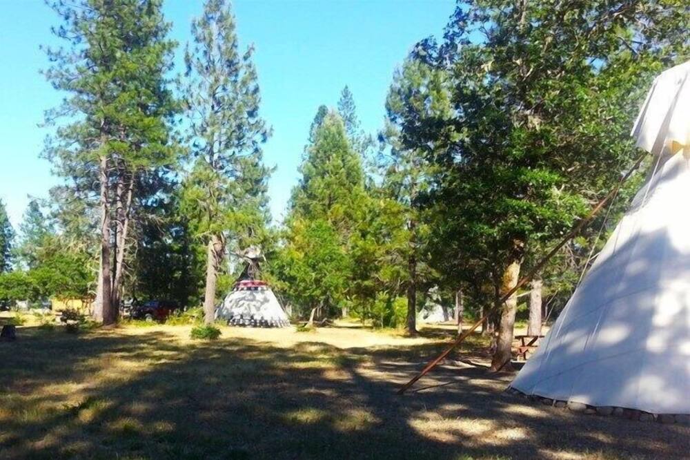 Photo of Outdoor in Cave Junction