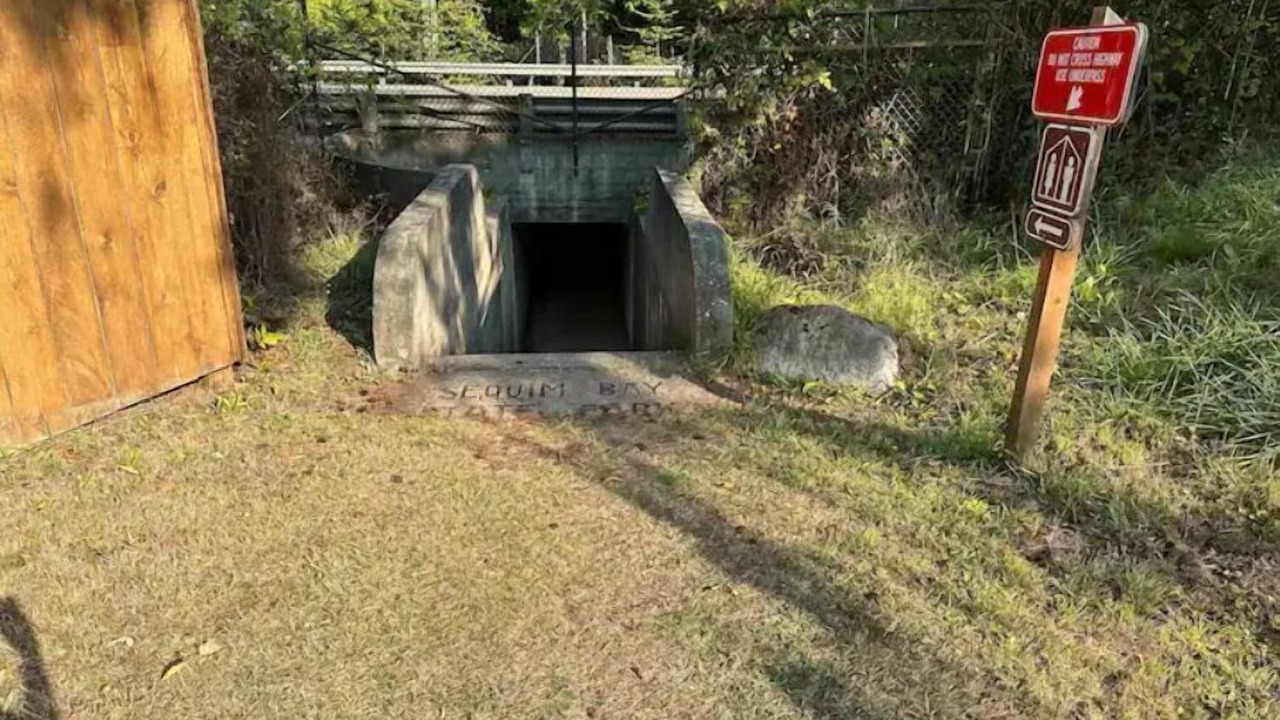Photo of Outdoor in Sequim