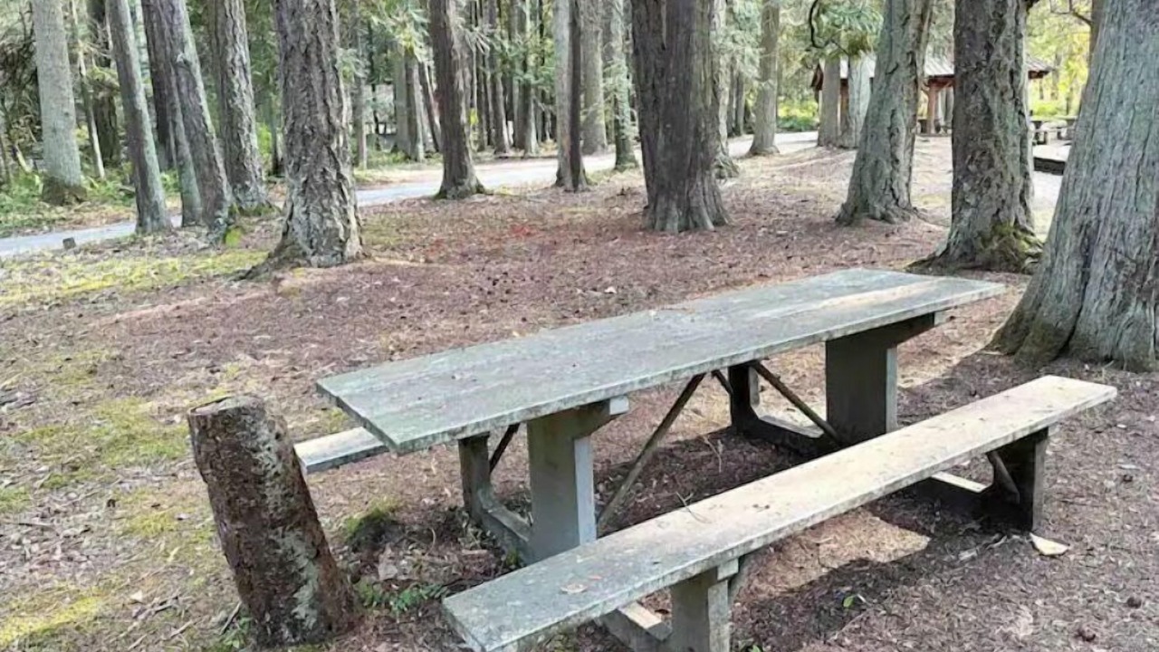Photo of Outdoor in Sequim