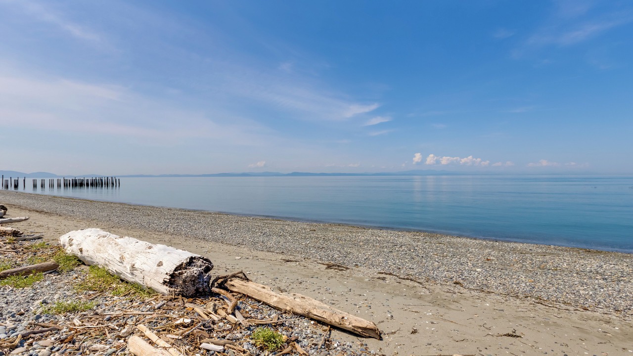 Photo of Others in Point Roberts