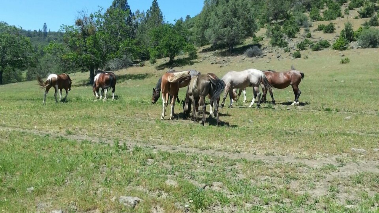 Photo of Others in Montague