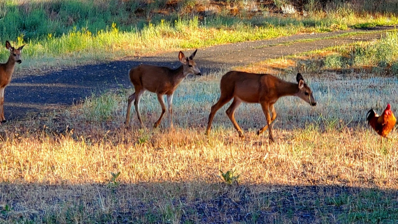 Photo of Others in Cheney