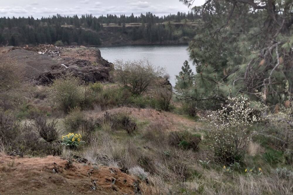 Photo of Outdoor in Cheney