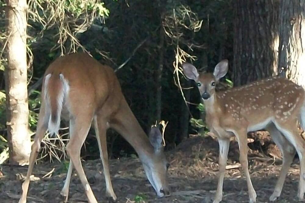 Photo of Outdoor in Colville