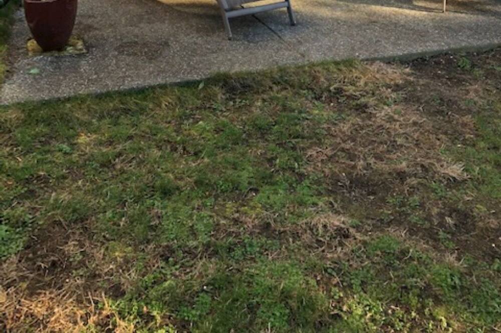 Photo of Outdoor in Anacortes