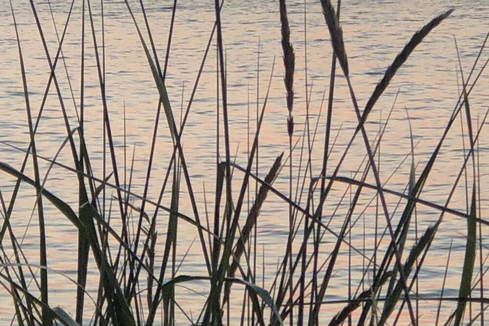 Photo of Others in Anacortes