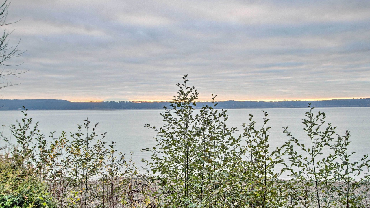Photo of Others in Anderson Island