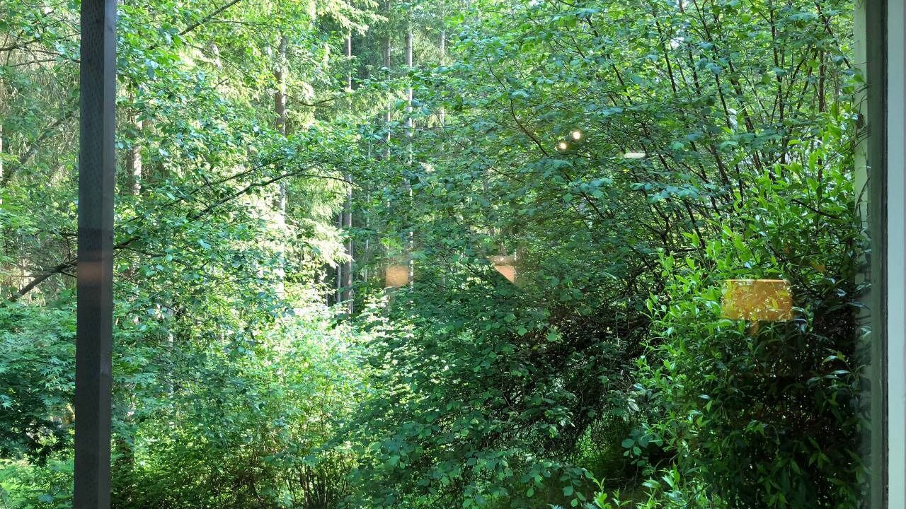 Photo of Others in Gig Harbor