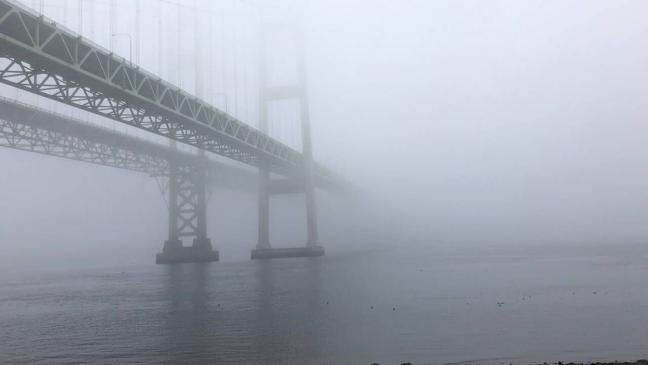 Photo of Others in Gig Harbor