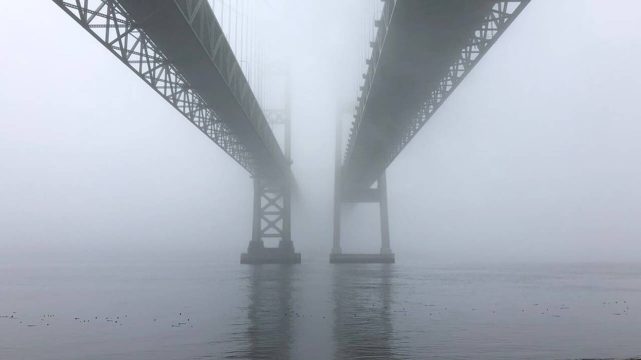 Photo of Others in Gig Harbor