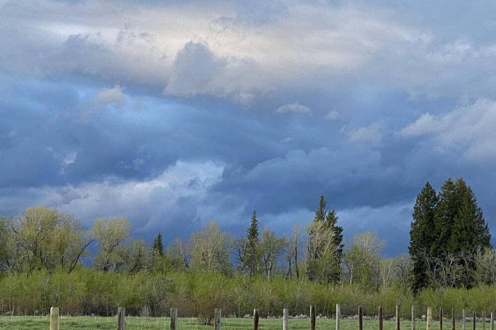 Photo of Outdoor in Clawson