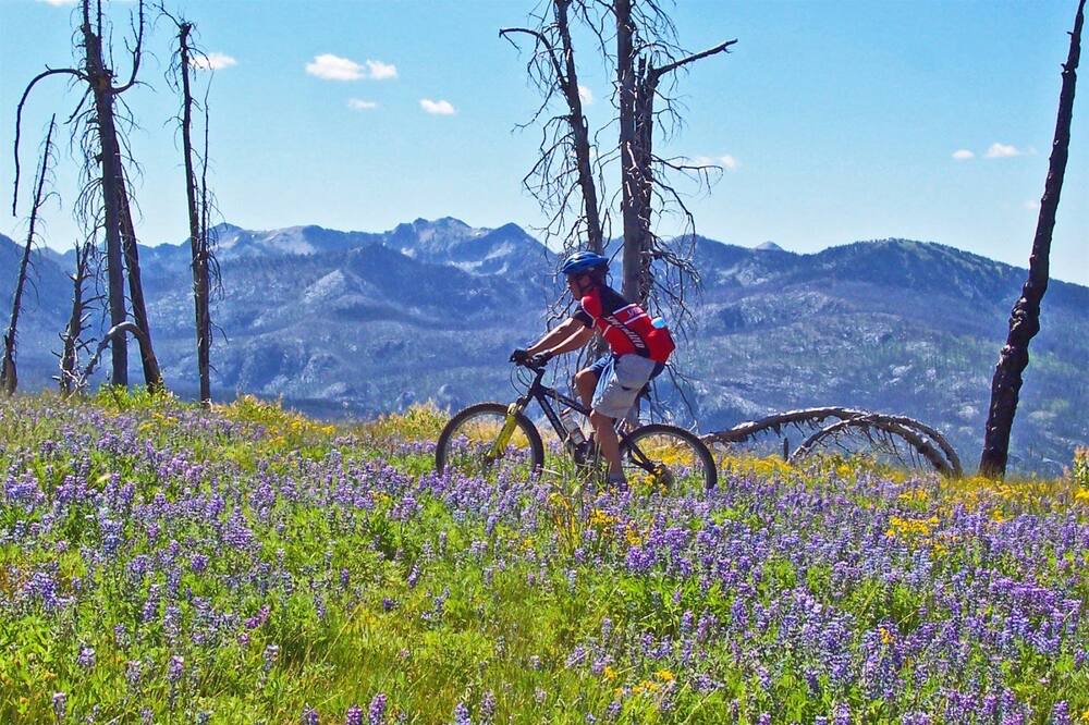 Photo of Outdoor in Boise